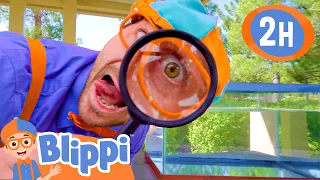 Sink or Float? V3 | | BEST OF BLIPPI TOYS | Educational Videos for Kids