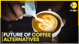 Rise of beanless coffee as a sustainable alternative | Latest English News | WION