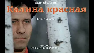 Калина красная (Киноповесть) #ВасилийШукшин #Шукшин #джахангирабдуллаев #аудиокнига #читаювслух