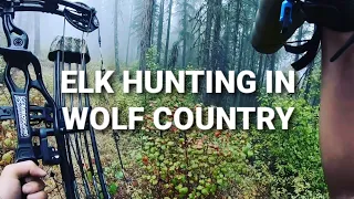 ELK HUNTING IN WOLF COUNTRY