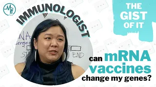 ImmunoloGIST: Can mRNA vaccines change my genes? | The Gist Of It