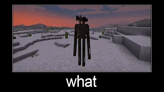 Minecraft wait what meme part 123 (siren head or enderman)