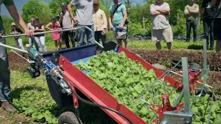 Terrateck Baby Leaf Harvester | Dubois Agrinovation