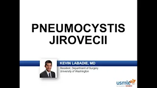 USMLE-Rx Express Video of the Week: Pneumocystis Jirovecii