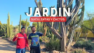 JARDIN DE CACTUS GIGANTES Tour visita a vivero cactus ajijic