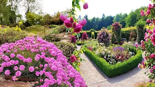 🌺Великолепные творческие идеи для вашего сада / Great creative garden ideas / A - Video