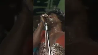 James Brown performs "It's A Man's World" LIVE #shorts