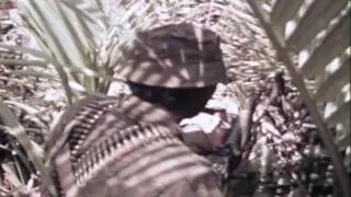 SEAL Team One May 29,1970 Vietnam (full)