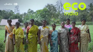 Eco India: How an army of women in Vellore resurrected a river that once served as their lifeline