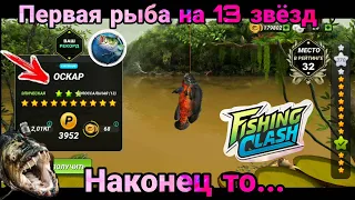 Первая рыба на 13 звёзд / Fishing Clash: Реальная рыбалка