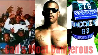 Who are the Eight Tray Gangster Crips? |One of LAs most well known crip gangs|83GC vs Rollin60s