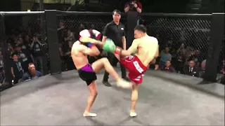 Epic Taekwondo Kicks Overwhelm Muay Thai - Edward Bahena Incredible TKD Showcase