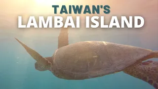 Snorkel with Sea Turtles on Taiwan's Lambai Island | Things to do in Xiaoliuqiu! 小琉球