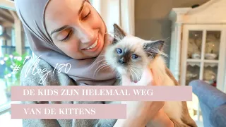 Picture perfect huis & de gevolgen van exotisch fruit | #Vlog 180. | Delia Skin Master