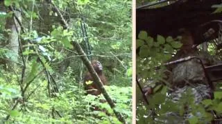 Bigfoot hunt Body Guard 360