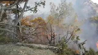 По факту пожара в поселке Большой Утриш отделом  ОМВД России по Анапе возбуждено уголовное дело