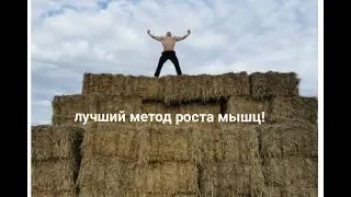 Все лучшие и худшие подходы для роста мышц. Как тренироваться?