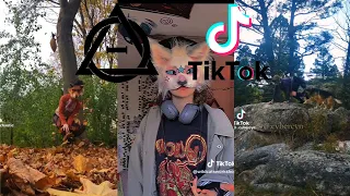 Therian and Quadrobics TikToks || Compilation 🐾🍂 || Alterhumans of TikTok #59