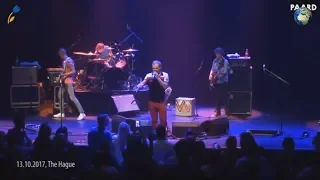 Олег Скрипка с "Вопли Видоплясова" оскорбил Россию на концерте в Гааге