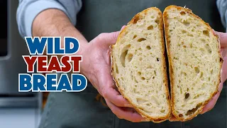 Wild Yeast For Bread Baking - How To Make Wild Yeast Bread & Why It Works