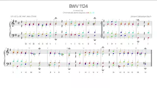 Bach Chorale  BWV 1124 Harmonic analysis with colored notes -Ich ruf zu dir, Herr Jesu Christ-