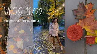 Влог 11/22: новый процесс, перчатки, Soft Donegal Tweed, прогулки по Смоленску