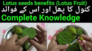 Lotus Seeds | Lotus Seeds Benefits | Lotus Fruit fruits | phalon ke faide in urdu | phalon ke fayde