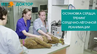 ОСТАНОВКА СЕРДЦА: тренинг сердечно-лёгочной реанимации