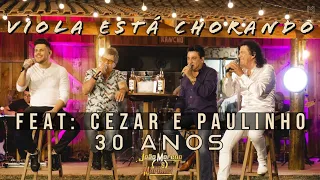 VIOLA ESTÁ CHORANDO - João Moreno e Mariano Feat: @CezarePaulinho