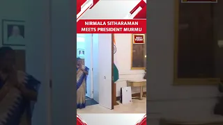 Watch: Finance Minister Nirmala Sitharaman Meets President Murmu | #shorts