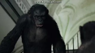 Dawn of the Planet of the Apes - Ash's Death