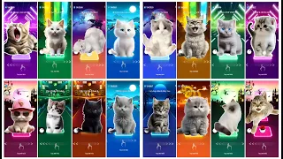 Cute Cats😻 VS Cute Dogs 🐶Ultramix Videos Compilations Cover Songs Tiles Hop Edm🎧🎧🎧