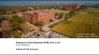 Polymerase Chain Reaction (PCR); Part 1