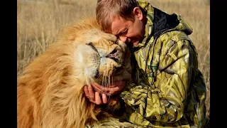 ОЛЕГ ЗУБКОВ-ЧЕЛОВЕК ЛЕВ ! Сафари Парк Львов Тайган      Lions Safari Park Taygan