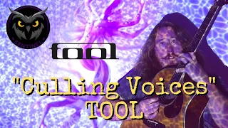 Culling Voices (TOOL Cover) - Sentinel