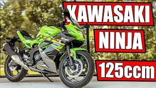 KAWASAKI NINJA 125 CCM 2020 MOTORRAD TEST