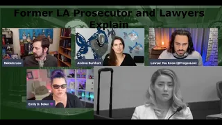 Amber's DV Accusations Rekt by Former LA Prosecutor & Nick & Co