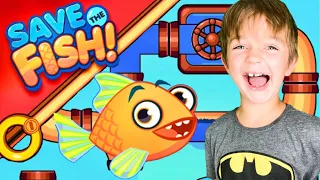 Save the Fish gameplay | NEW LEVELS #7