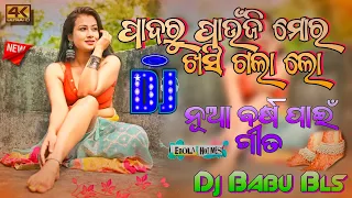 Padaru Paunji Mora Khasigala Lo Dj Song | Sambalpuri Odia Dj Song Dj Babu Bls