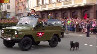 Пес УГОЛЕК принял участие в параде Победы 9 мая.Донецк 2018. The dog commands the parade. Clever dog