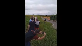 Thierry Neuville On the limit - Ypres Rally Belgium