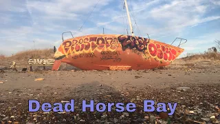 Dead Horse Bay: Live Mudlarking & Metal Detecting