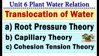 TRANSLOCATION OF WATER - PLANT WATER RELATION