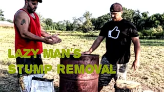 THIS IS AMAZING!! How to remove a tree stump with a 55-gallon drum! (Featuring Tool Review Zone)