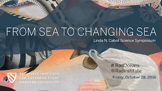 From Sea to Changing Sea | The Role of Oceans in Climate || Radcliffe Institute