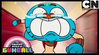 Gumball | Gumball and Darwin Can't Trust Anyone | Cartoon Network