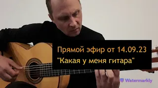 Какая у меня гитара. Прямой эфир от 14.09.2023 #урокигитары #гитара #guitar #guitarlesson