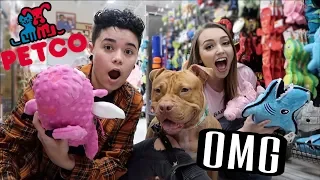 Buying Our Dog EVERYTHING She Touches!