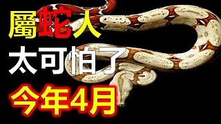 屬蛇人預測2024生肖運勢，十二生肖屬蛇人被認為是具有智慧、靈性和勇氣的代表。而屬蛇人之所以被認為財運亨通，源於多方面的原因，屬蛇人，做人低調，卻又富於在複雜的社會中鑽營，屬蛇人具備良好的人際關係