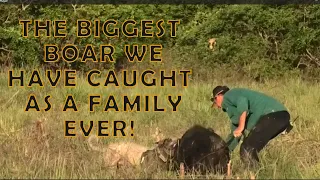 OUR BIGGEST WILD FERAL BOAR TO DATE AS A FAMILY